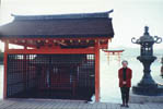 Torii photo